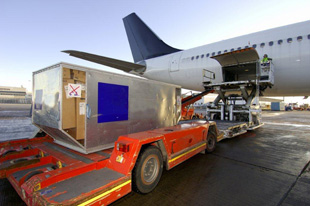 Gericht glatzel-transport02-310